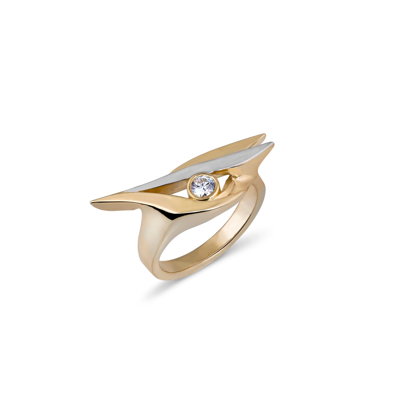 Arctic Tern Ring